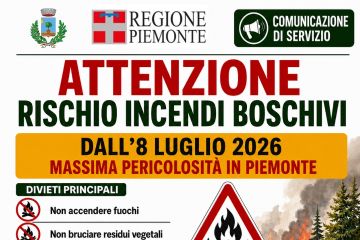 Pineta che brucia