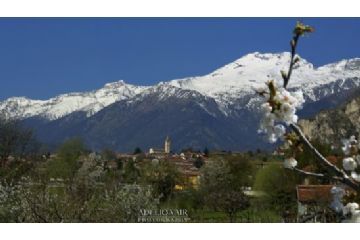 Foresto con sfondo il Moncenisio